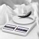 Food Scale
